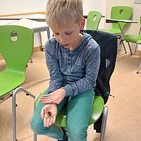 Junge hat ein Insekt auf den Händen