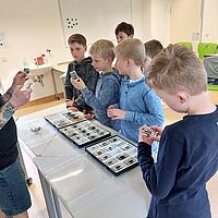 Kinder schauen sich Käfer Exponate an