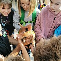 Kinder bewundern ein Ferkel