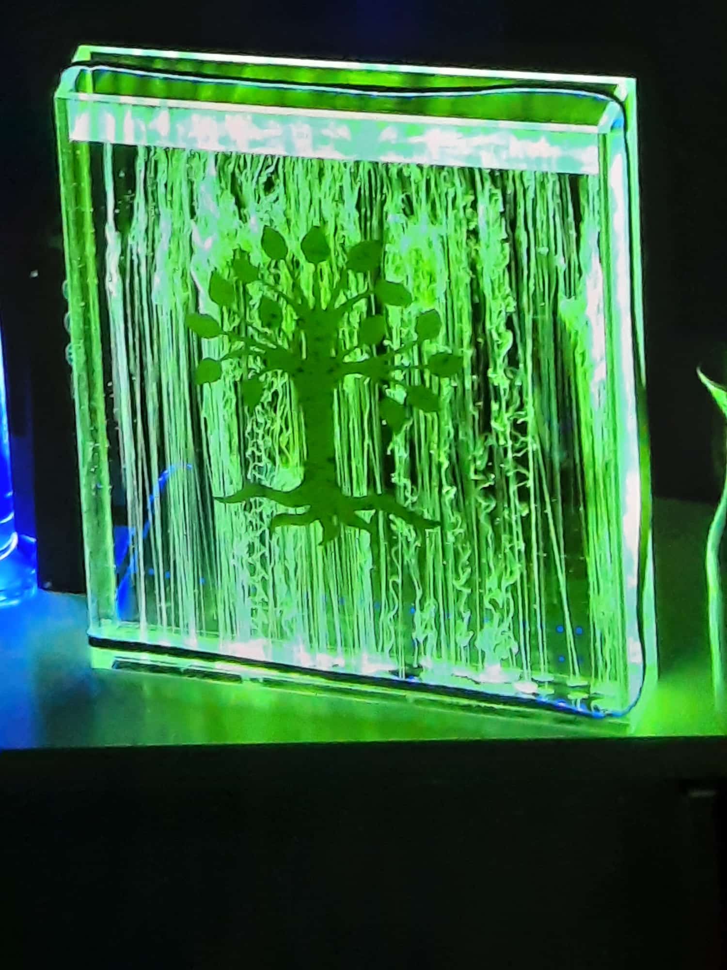 Die Bocholter Buche fluoreszierend